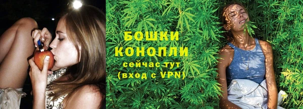 mdpv Богданович