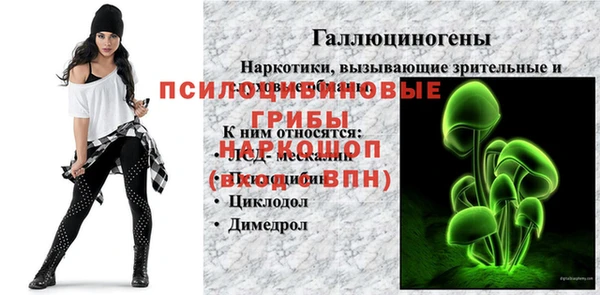 jwh Богородицк