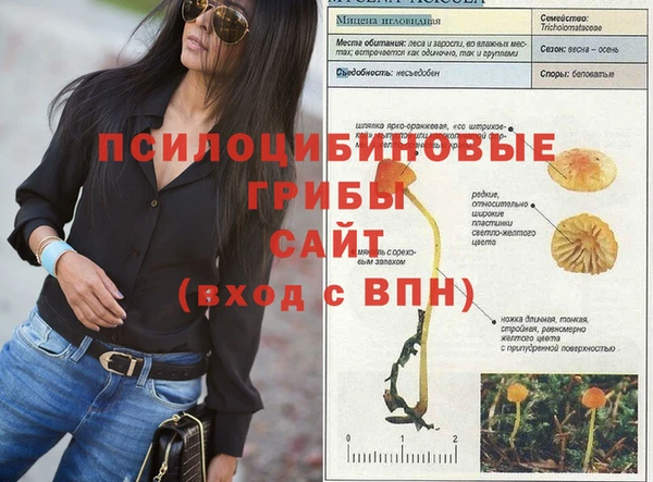 jwh Богородицк