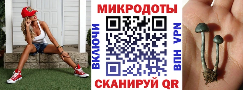 Псилоцибиновые грибы прущие грибы  Купить закладки  Владивосток 